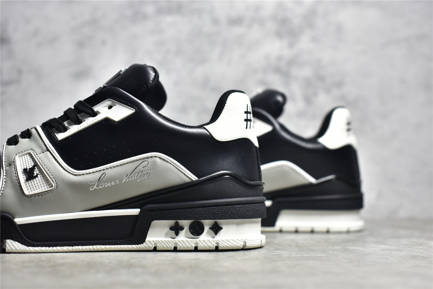 LV Trainer 011