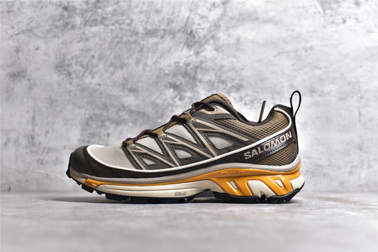 Salomon XT-6 Expanse Feather Gray Golden Oak