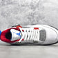 Air Jordan 4 What The